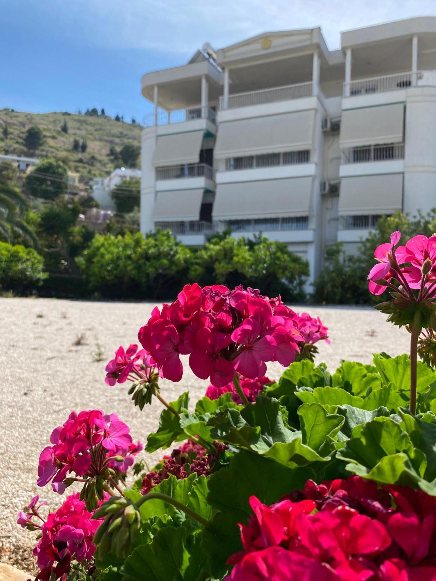 Vila Marjana Saranda Dış mekan fotoğraf